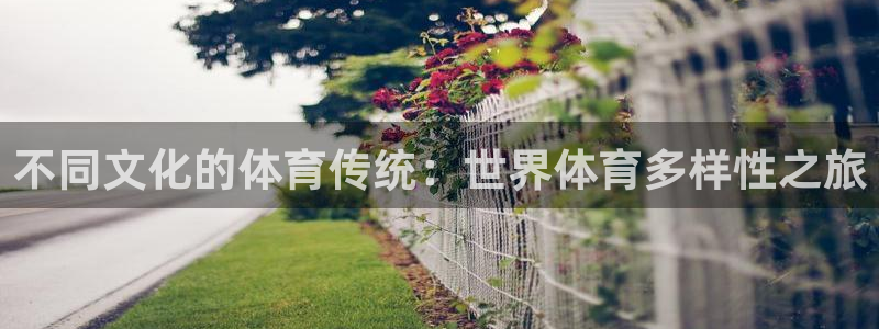 98体育直播nba：不同文化的体育传统：世界体育多样性之旅