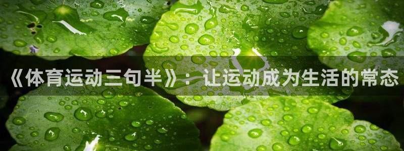 98体育篮球直播