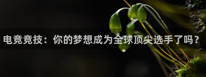 98体育直播nba