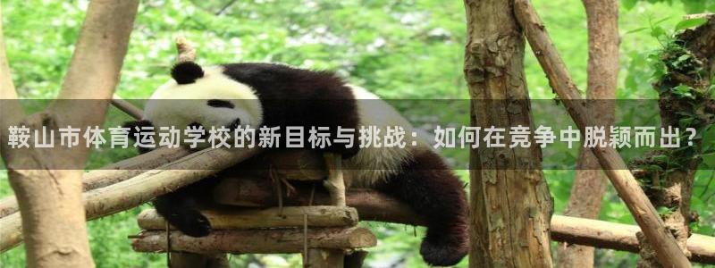 98体育直播吧：鞍山市体育运动学校的新目标与挑战：如何在竞争中脱颖而出？